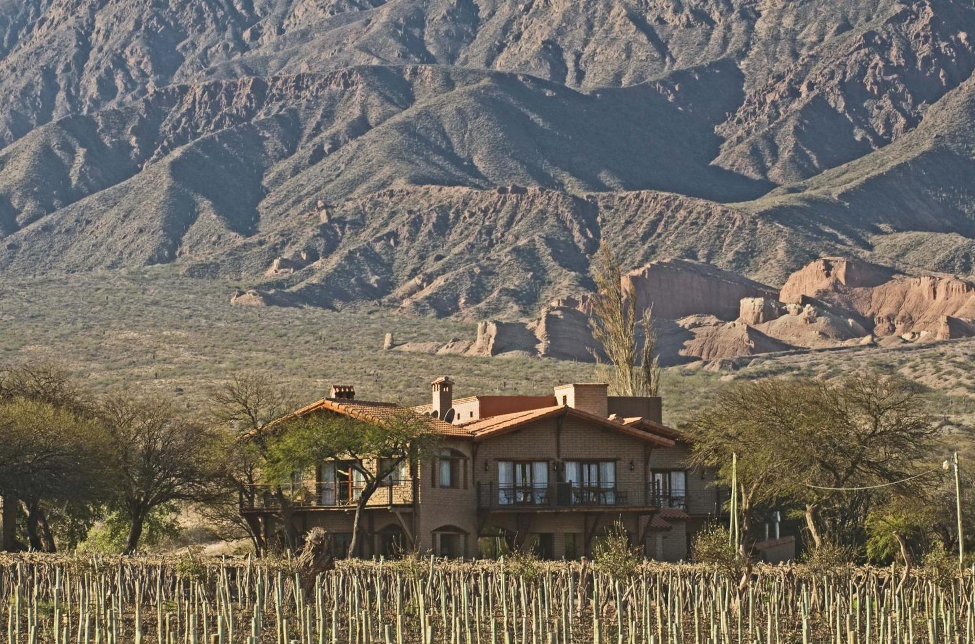 La Casa De La Bodega - Wine Boutique Hotel Кафайяте Экстерьер фото
