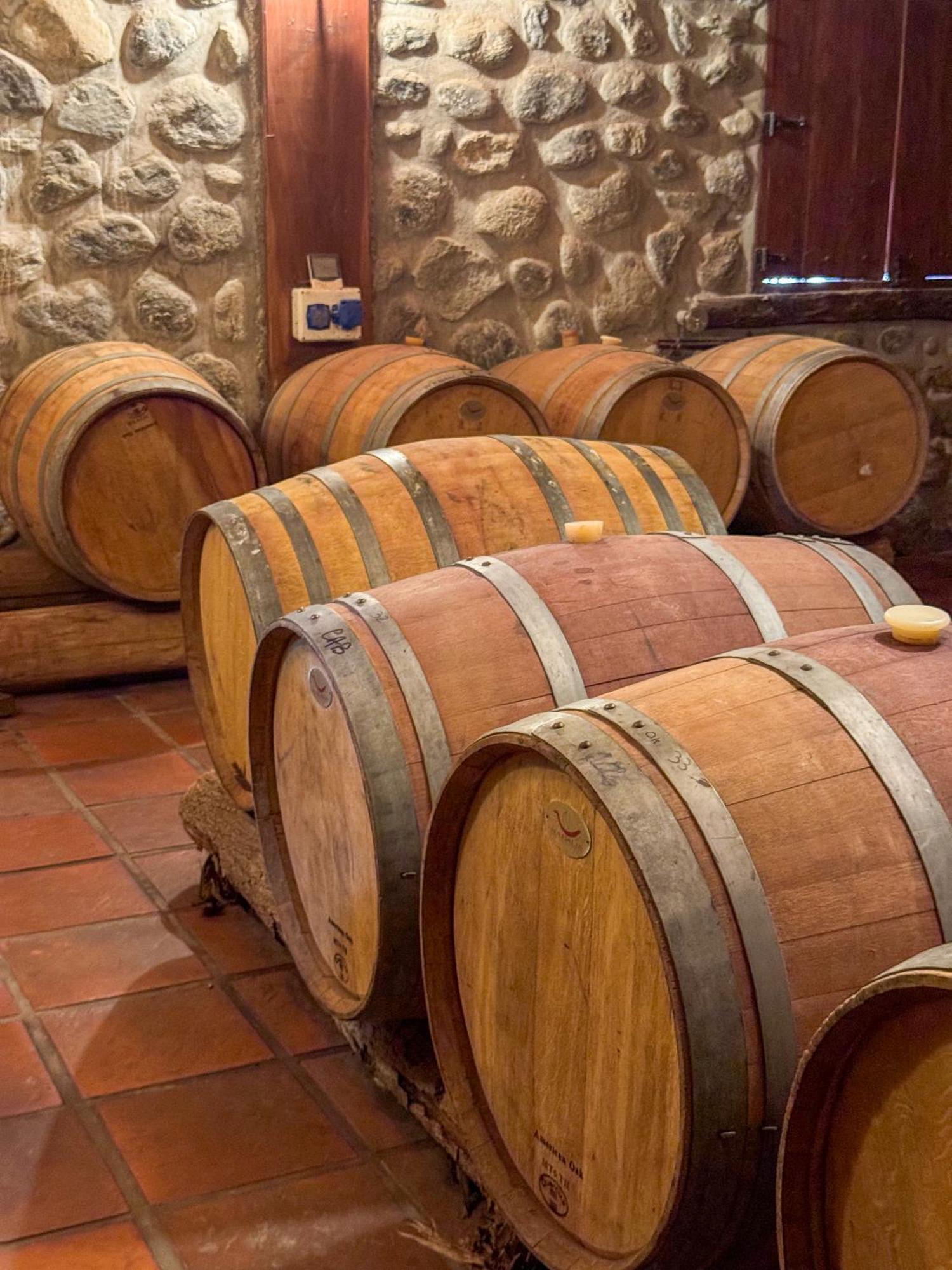 La Casa De La Bodega - Wine Boutique Hotel Кафайяте Экстерьер фото