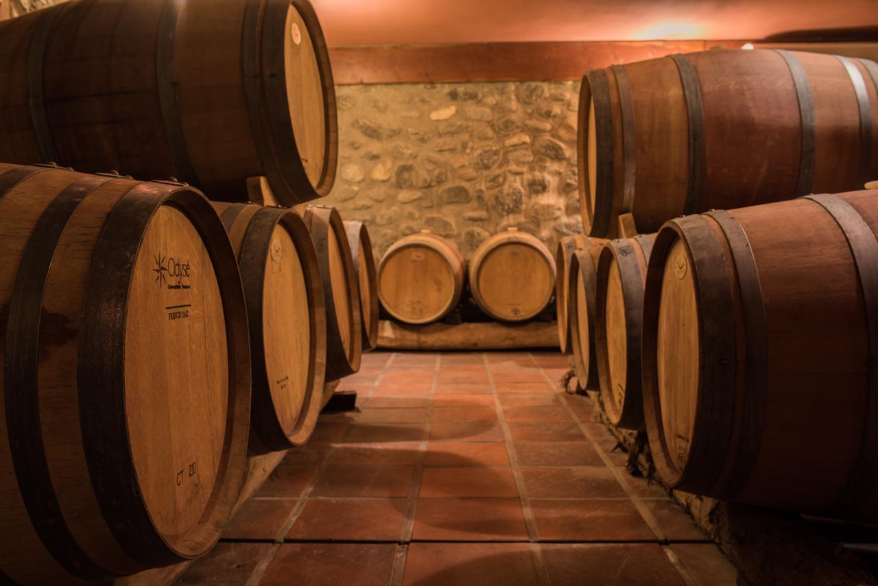 La Casa De La Bodega - Wine Boutique Hotel Кафайяте Экстерьер фото